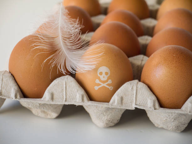 istock Skull and crossbones stamp on the chicken eggs 1090791036