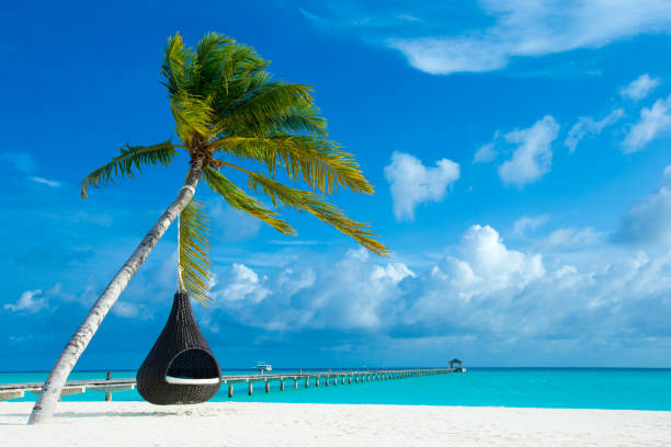 istock tropical Maldives island with white sandy beach and sea 1090800040
