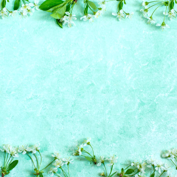 istock Elegant frame of cherry flowers 1090800158