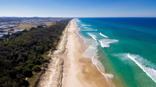 istock Casuarina New South Wales 1090800286