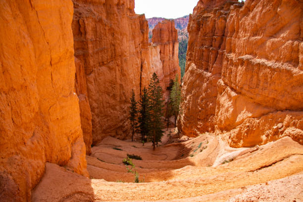 istock Bryce Canyon National Park 1090802716