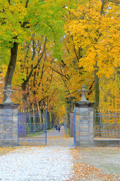 istock Entrance to the autumn park. 1090802730