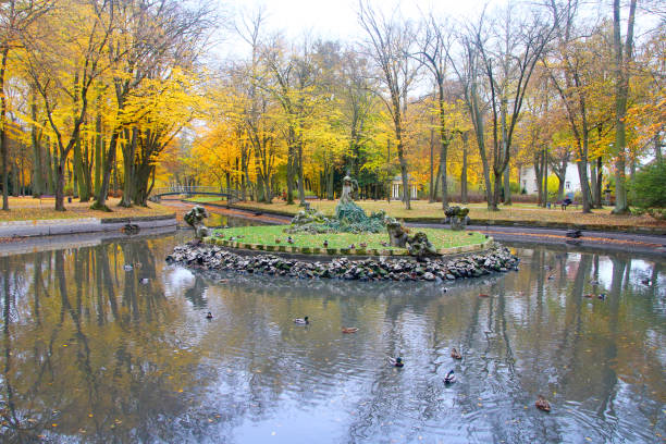 istock Old pond with ducks in autumn park. 1090805232