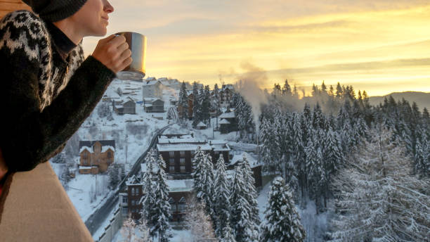 istock Winter traveler in ski resort 1090808854