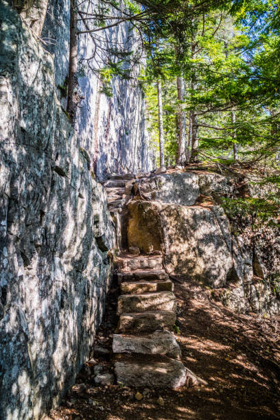 istock The Ocean Path Trail in Acadia National Park, Maine 1090810036