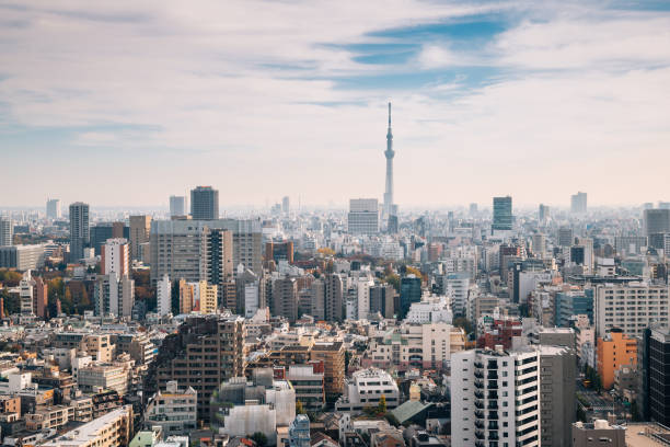 istock Tokyo cityscape and Skytree in Japan 1090813270