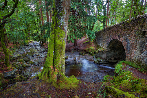 Stone bridge over the the Shimna River in the Tollymore Forest Park located at Bryansford, near the town of Newcastle, Northern Ireland.