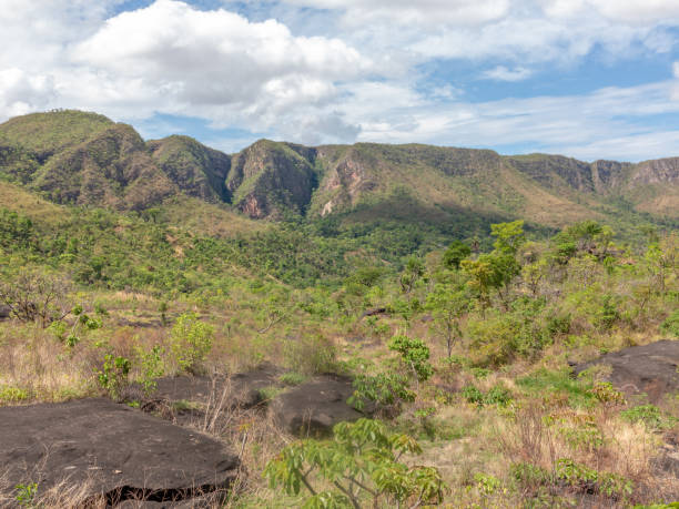istock landscape at Chapada dos Veadeiros in Brazil 1090816210