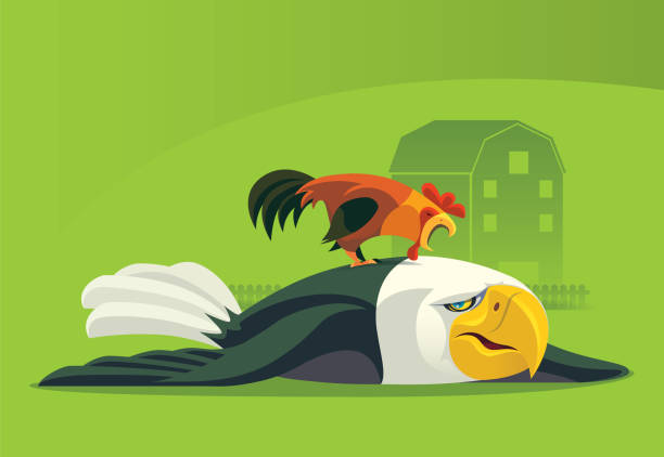 rooster defeating bald eagle vector illustration of rooster defeating bald eagle crying eagle stock illustrations