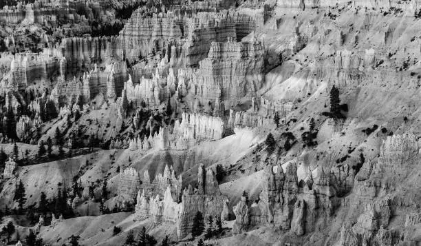 beautiful landscape in Bryce Canyon with magnificent Stone formation like Amphitheater, temples, figures, sunrise