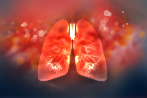 폐에 과학적인 배경 - 세기관지 뉴스 사진 이미지