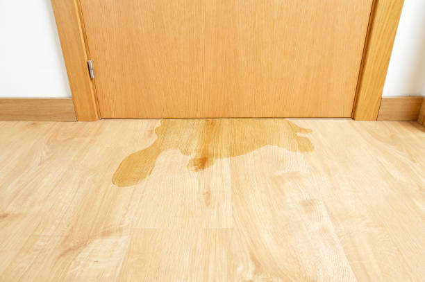 istock flood in my building 1090826460