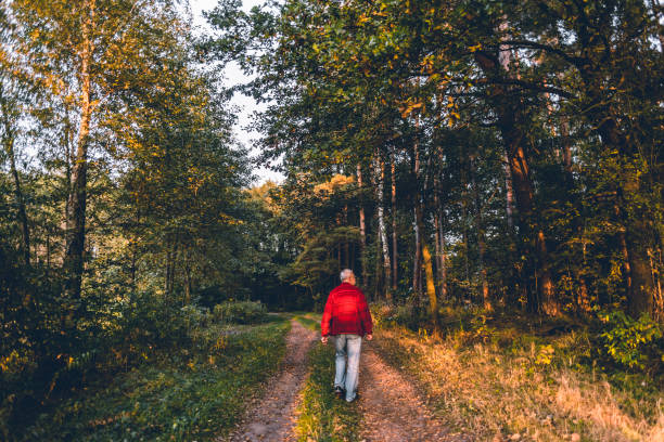 istock Senior man on a walk in an autumn nature 1090827764