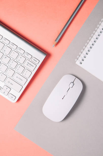istock Keyboard and mouse on a pale gray-pink background 1090827986