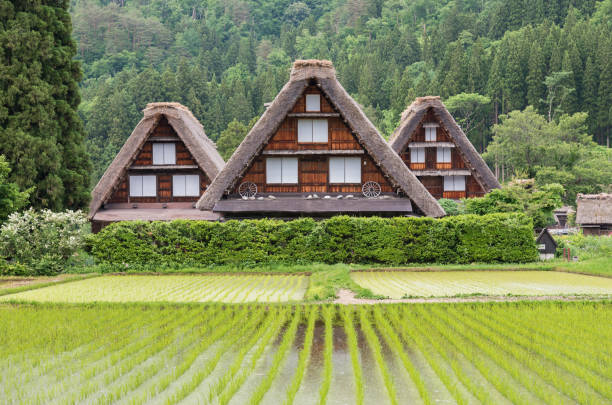 istock Idyllic rural landscape of Japan 1090830374