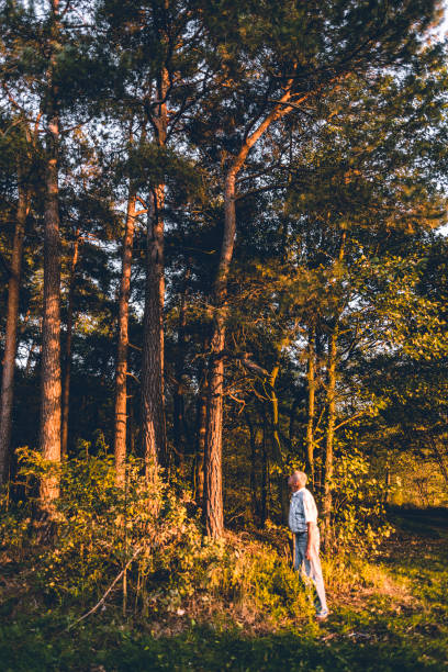 istock An older man is watching trees in the forest 1090831108
