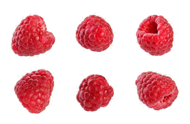 istock Collection of fresh raspberries. 1090846238