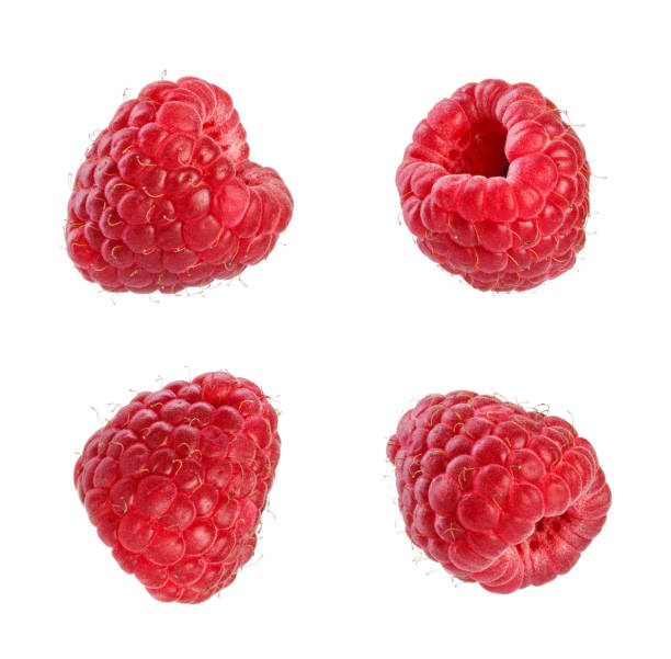 istock Collection of fresh raspberries. 1090846240
