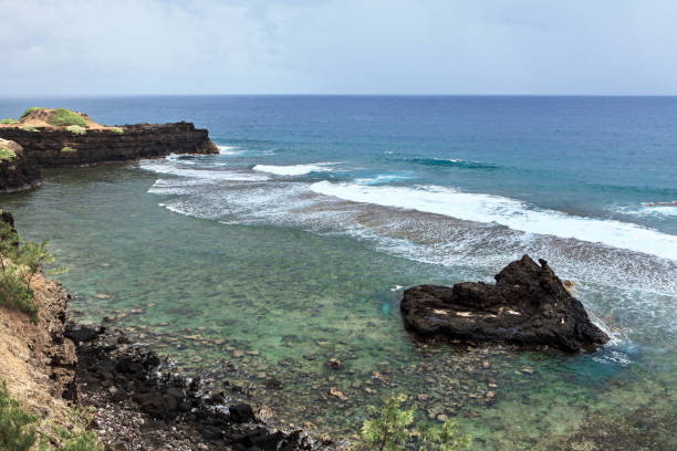 istock wild coast on mauritius island 1090849274