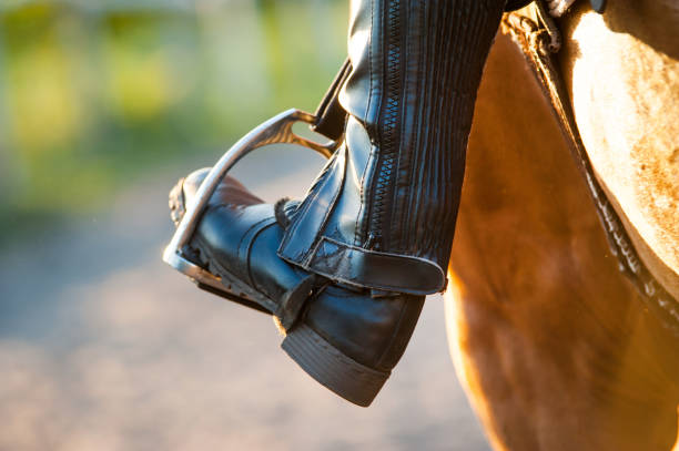 нога в лошади стремена, крупным планом. тема лошади - lead theme стоковые фото и изображения