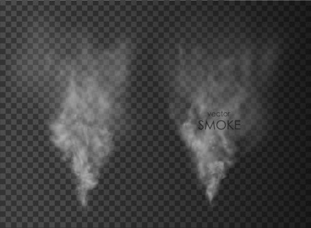 illustrations, cliparts, dessins animés et icônes de brouillard et fumée isolé sur fond transparent - vapeur