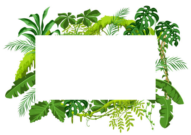 фон с джунглями растений. - tropical climate banner tropical rainforest placard stock illustrations
