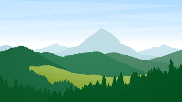 ilustraciones, imágenes clip art, dibujos animados e iconos de stock de vector ilustración: verano en la montaña salvaje paisaje con pinos, colinas y picos. - landscape green tree hill