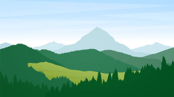 벡터 그림: 여름 야생 산 봉우리와 소나무, 언덕 프리. - layered mountain tree pine stock illustrations