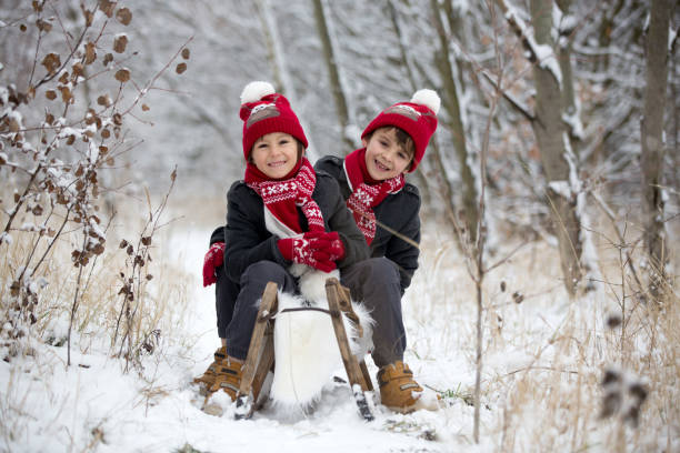 niedlichen kleinkind kind und seine älteren brüder, spielen im freien mit schnee an einem wintertag - little boys sled clothing slide stock-fotos und bilder