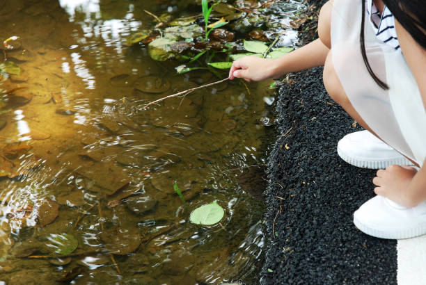 istock Beautiful kids girl looking shadow tree and cloud sky on water. 1090872500