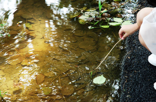 Scientist and biologist hydro-biologist takes water samples for analysis outdoors. Hand is collects water in a test tube. Pond water pollution concept