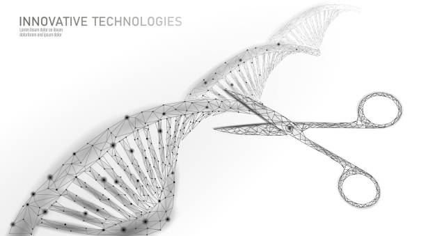 DNA 3D structure editing medicine concept. Low poly polygonal triangle gene therapy cure genetic disease. GMO engineering CRISPR Cas9 innovation modern technology science banner vector illustration DNA 3D structure editing medicine concept. Low poly polygonal triangle gene therapy cure genetic disease. GMO engineering CRISPR Cas9 innovation modern technology science banner vector illustration art gene editing stock illustrations