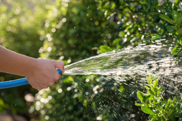 istock pour water to garden by rubber hose 1090873384