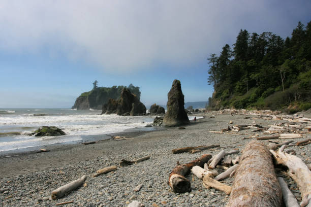istock Rialto Beach at Olympic National Park 1090873434