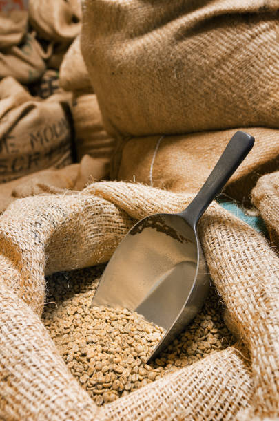 offene plünderung roh kaffebohnen mit schaufel - coffee bag green bean stock-fotos und bilder