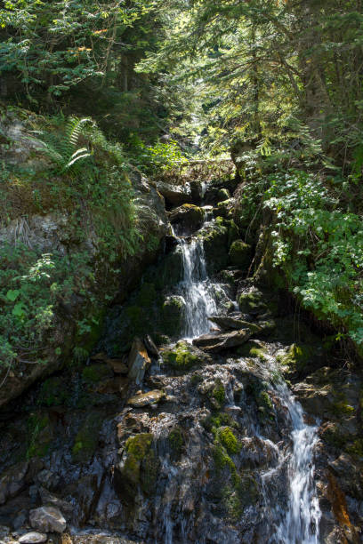 istock Small waterfall in the valley of Aran, Lleida 1090878042