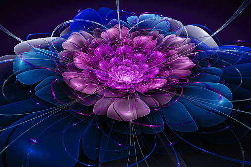 colorful flower, 3d computer generated fractal artwork for creative art, design and entertainment