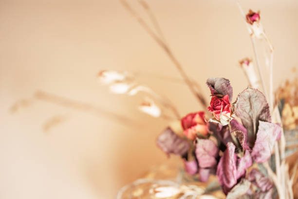 istock bouquet of the dried tiny roses on a beige background 1090904948