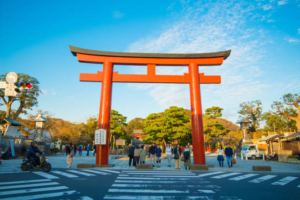 um portão de tori em frente à entrada para o santuário tsurugaoka hachimangu, atração turística popular de kamakura, japão - kamakura japan tourist people - fotografias e filmes do acervo