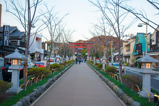 Dankazura pathway to Tsurugaoka Hachimangu shrine of  Kamakura,Japan