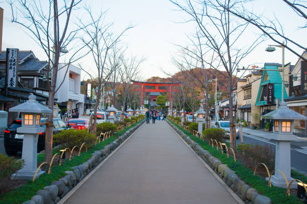 dankazura caminho para o santuário tsurugaoka hachimangu de kamakura, japão - kamakura japan tourist people - fotografias e filmes do acervo