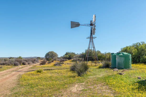istock Landscape with windmill and flowers at Papkuilsfontein 1090912434