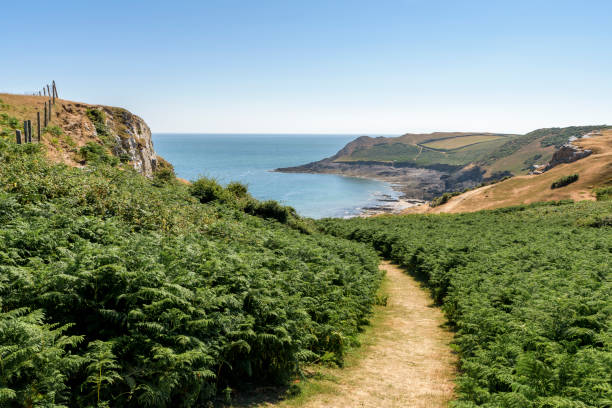 um caminho que conduz através da folhagem, para o mar e o promontório distante, em um dia de verão brilhante. o caminho é parte do caminho costeiro de galês - south wales - fotografias e filmes do acervo