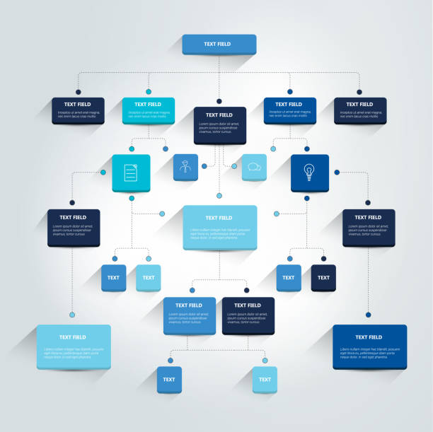 illustrazioni stock, clip art, cartoni animati e icone di tendenza di diagramma di flusso infografico. schema di ombre colorate. - organization chart