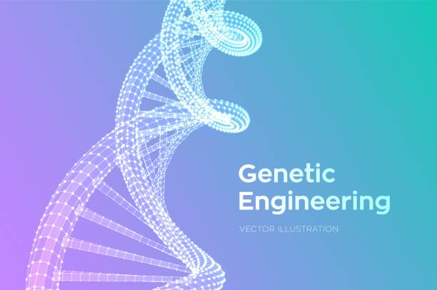 DNA sequence. Wireframe DNA molecules structure mesh. DNA code editable template. Science and Technology concept. Vector illustration. DNA sequence. Wireframe DNA molecules structure mesh. DNA code editable template. Science and Technology concept. Vector illustration dna nucleotide stock illustrations