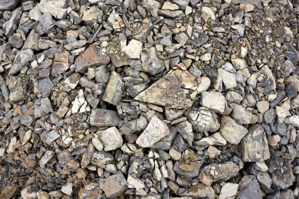 istock Mound of shells, stones and sand on the seashore. 1090939810