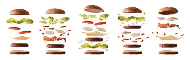 Photo of Set of different burgers with ingredients by layers white isolated
