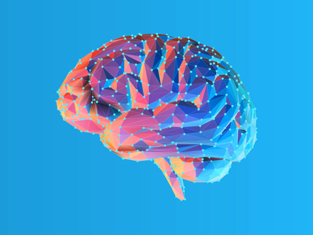 Low poly brain illustration isolated on blue BG Colorful blue and pink low poly side view human brain illustration with connection dots isolated on bright blue background authority illustrations stock illustrations