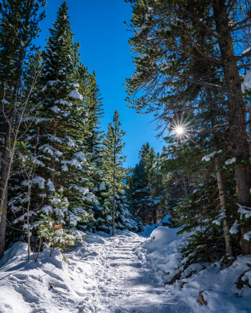 зима в национальном парке роки-маунтин - cold lake frozen estes park стоковые фото и изображения