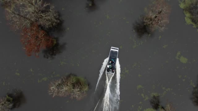 Directly Overhead Aerial Drone Shot of an Airboat Speeding Between Cypress Trees in the Atchafalaya River Basin Swamp in Southern Louisiana Under an Overcast Sky